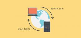 ¿Los DNS afectan la seguridad digital?