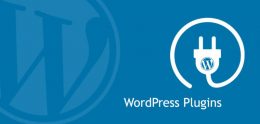 ¿Qué son los Plugins de WordPress?